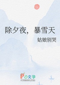 除夕夜，暴雪天